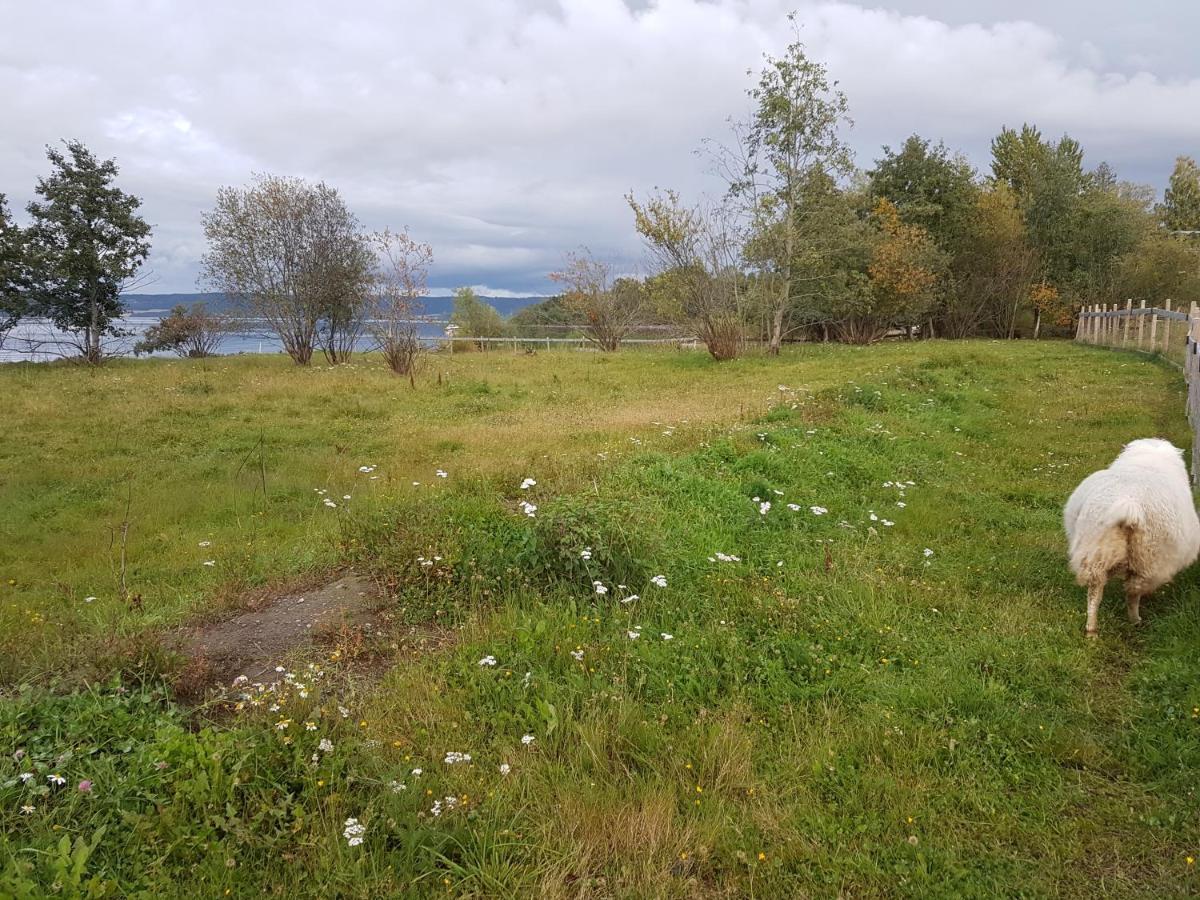 Hotel Idylliske Evjua Ved Mjosa Skreia Zewnętrze zdjęcie