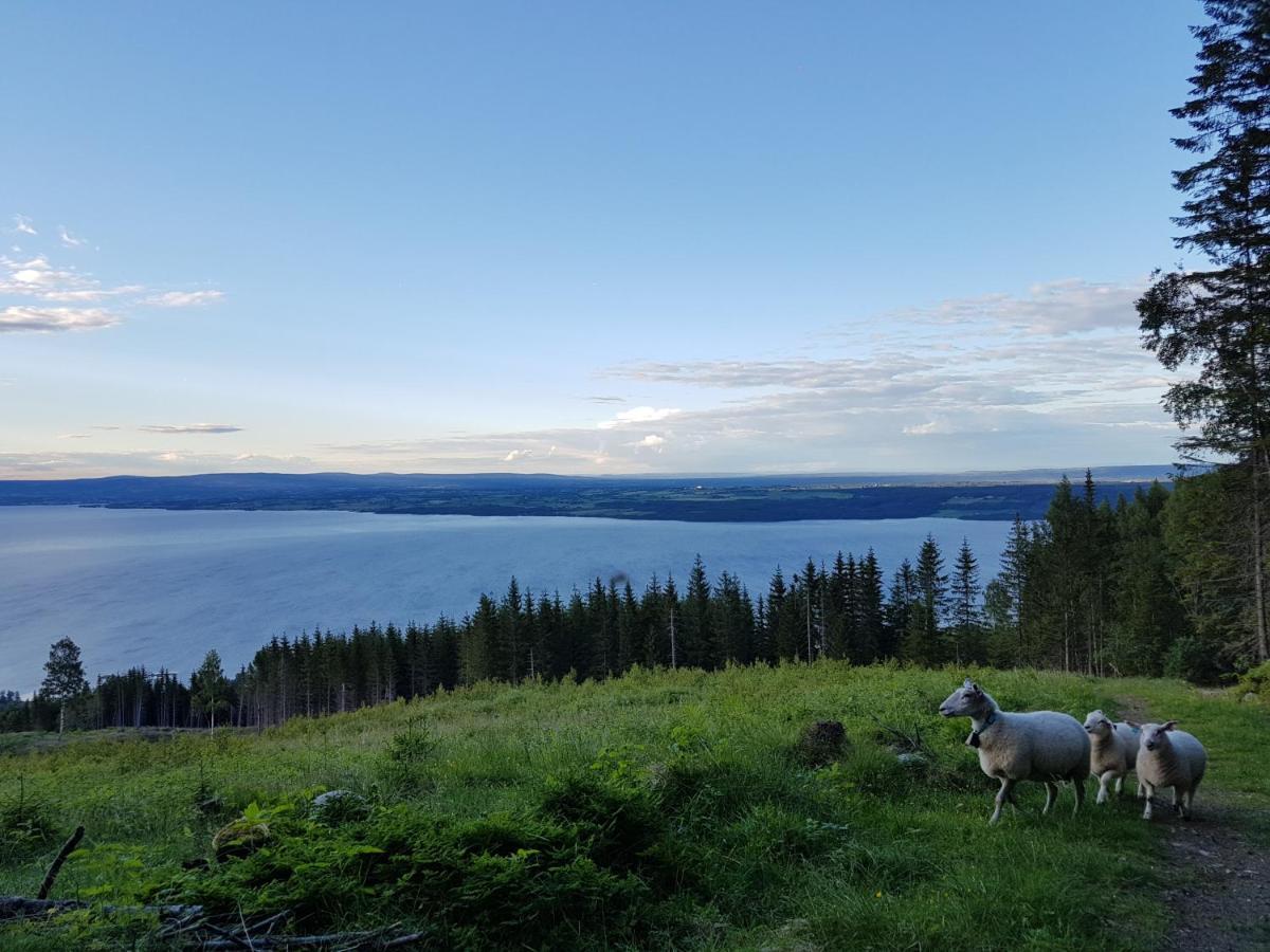 Hotel Idylliske Evjua Ved Mjosa Skreia Zewnętrze zdjęcie